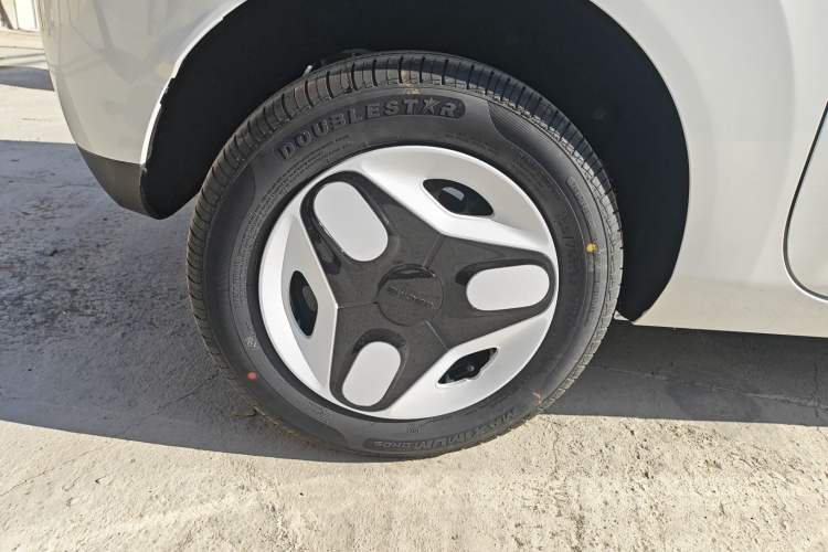 Used  Panda 2025 210 km – Yuanqi Bear
