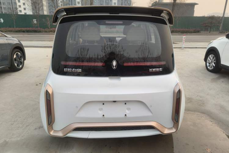 Used ORA White Cat 2022 Xiaoyue Mao Edition 360 km Luxury Model Lithium NMC
