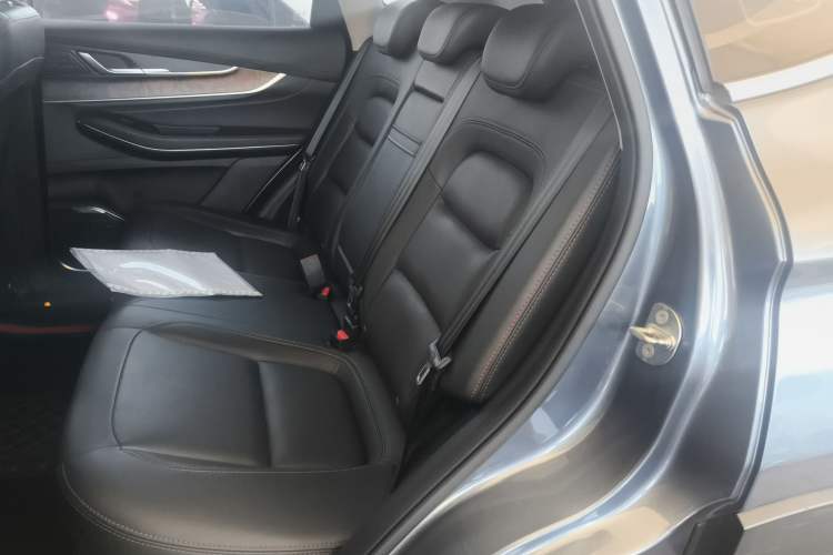 Used  Zhuifeng 2020 Chasing the Waves Edition 1.5T CVT Xingrui Version
