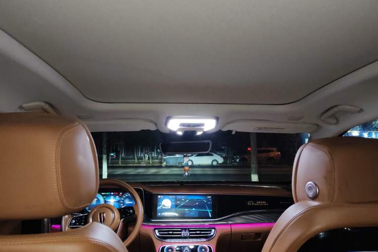 Used Hongqi H9 2020 2.0T Smart Connect Flagship Edition