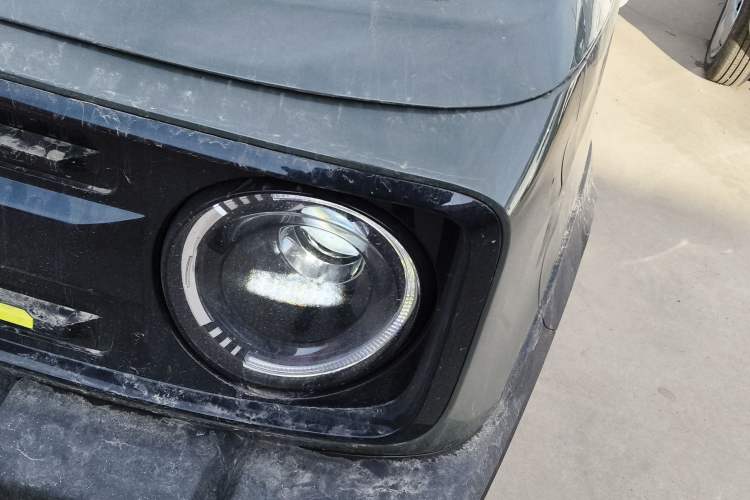 Used  Panda 2025 210km Panda Rider