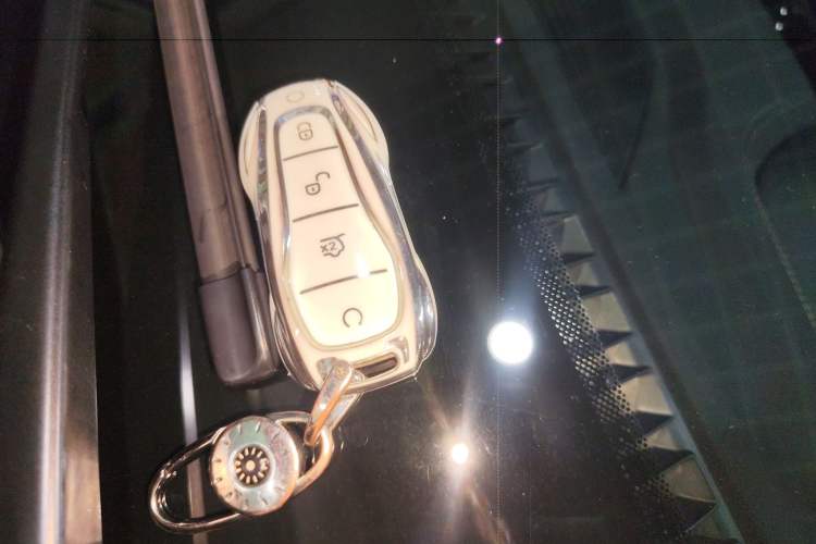 Used BYD Tang New Energy 2025 DM-i 115KM Prestige Model