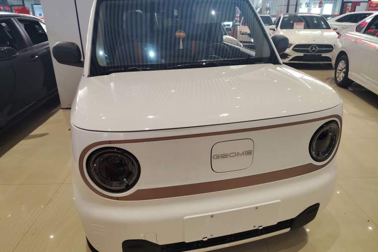 Used  Panda 2024 Panda Mini 200km Endurance Bear