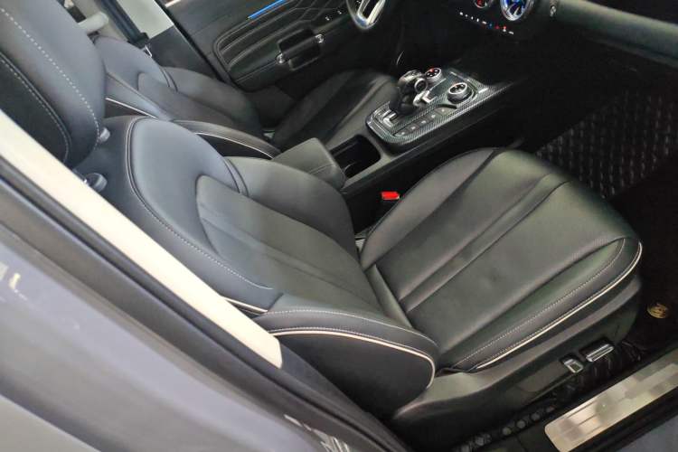 Used Tank 300 2024 2.0T Conqueror
