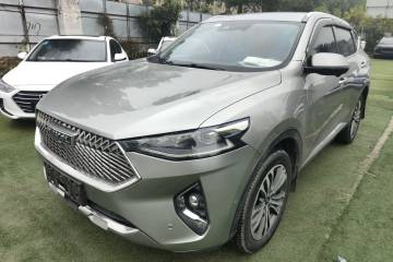 Used Haval F7 2021 2.0T Two-Wheel Drive i-Van