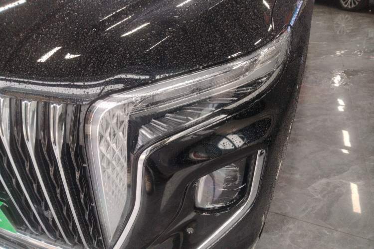 Used Hongqi HQ9 2024 2.0T Business Edition