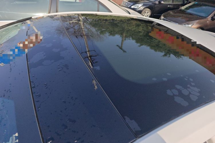 Used Ford Focus 2021 Hatchback EcoBoost 180 Automatic Titanium Edition
