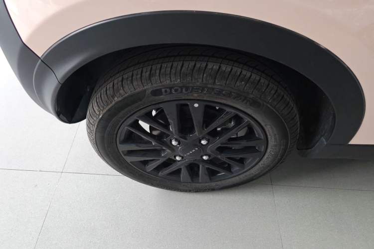 Used Chery Little Ant 2024 Edition Youth Version 251km True Love Edition 25.05 kWh