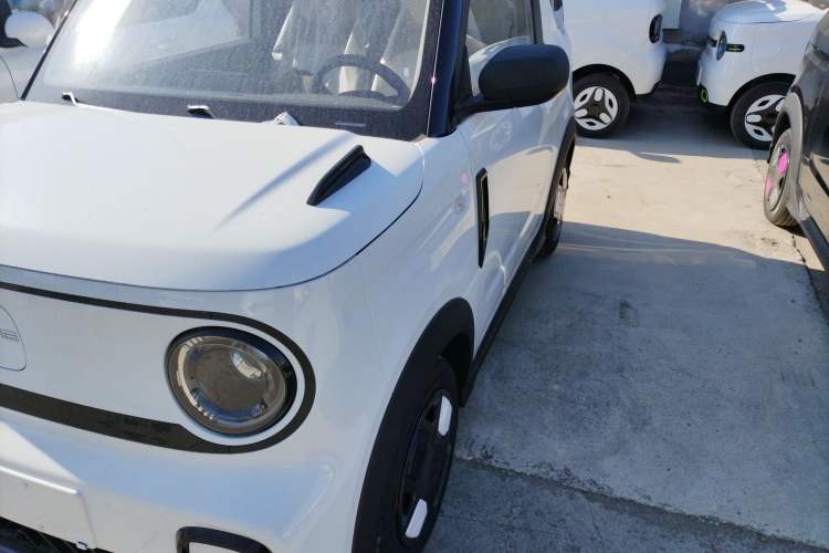 Used  Panda 2025 210km Panda Kart