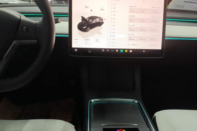 Used Tesla Model 3 2022 Rear-Wheel-Drive Version