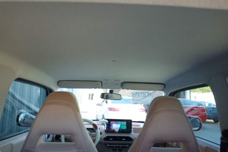 Used  Panda 2023 Panda Mini 200km Endurance Bear
