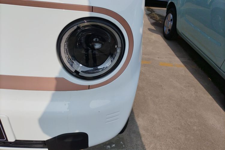 Used  Panda 2024 Panda Mini 200km Endurance Bear
