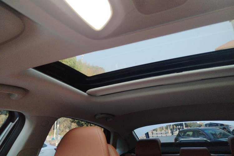 Used  A05 2024 Truly Delicious Version 145 Beyond-Excellent Type
