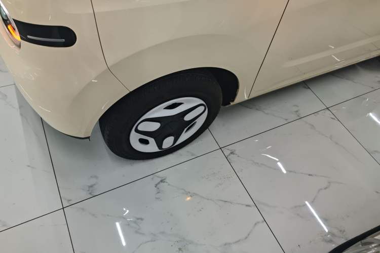 Used  Panda 2025 210 km – Yuanqi Bear