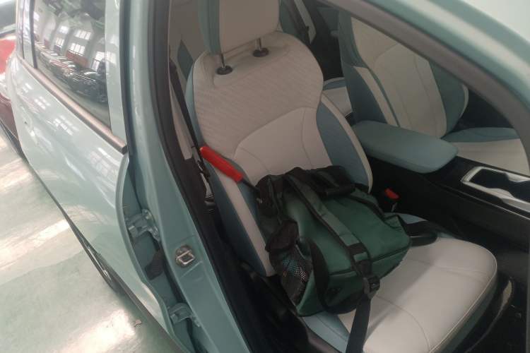 Used Geometry E Firefly 2024 301km Starlight