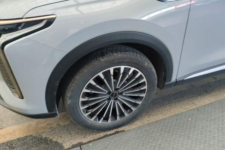 Used  Stellar 2023 400T Two-Wheel Drive Comfort Flyfish Edition