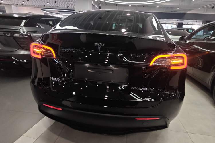 Used Tesla Model Y 2021 Standard Range Rear-Wheel Drive Version
