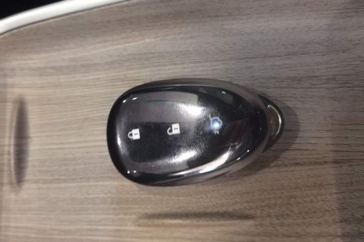 Used  A07 2024 All-Electric "True Fragrant" Edition 515 Elite Model
