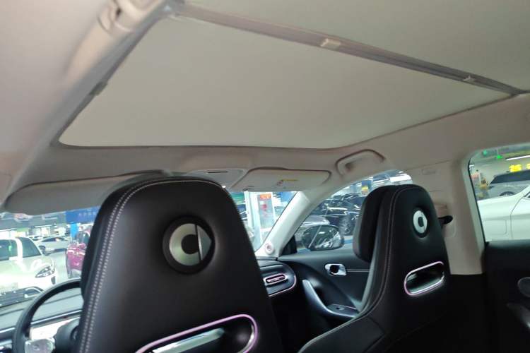 Used  #3 2024 Dynamic Standard Edition
