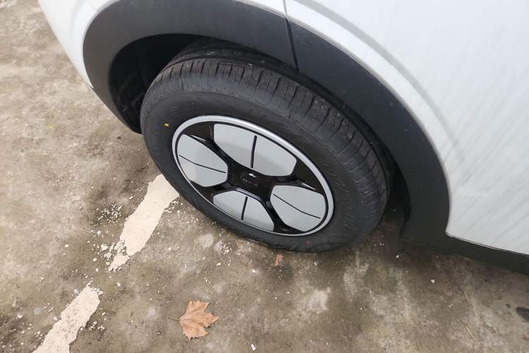 Used  Geome 2025 310km Youth Edition
