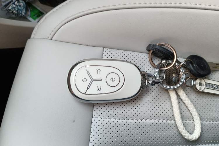 Used  Geome 2025 310km Youth Edition
