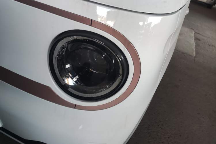 Used  Panda 2024 Panda Mini 200km Endurance Bear