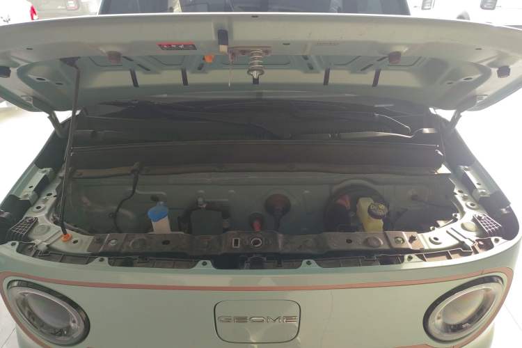 Used  Panda 2024 Panda Mini 200km Endurance Bear
