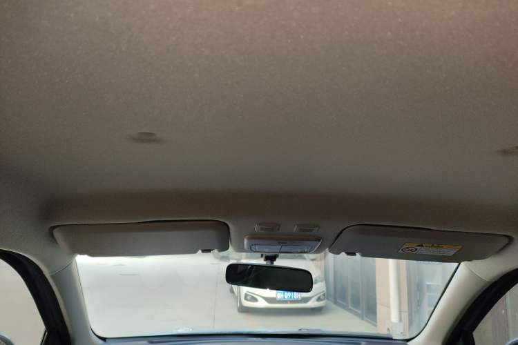 Used ORA Black Cat 2019 351 km Family Edition