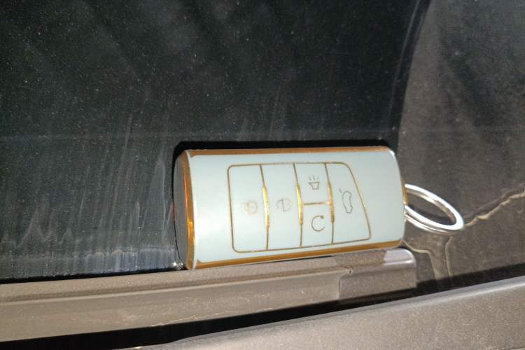 Used GAC Trumpchi M6 2019 270T DCT Luxury Edition (7-seater) China VI
