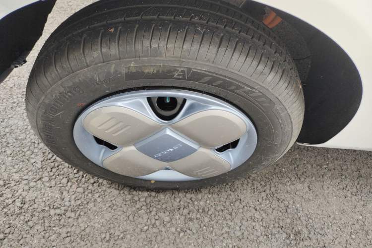 Used  Panda 2024 Panda Mini 200km Endurance Bear
