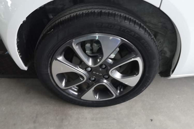 Used ORA White Cat 2020 305 km Luxury Version
