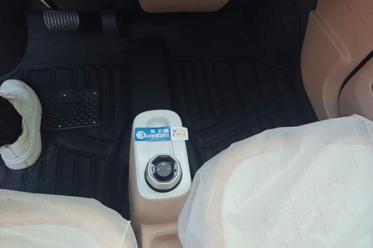 Used  Panda 2024 Panda Mini 200km Endurance Bear
