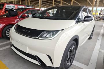 Used BYD Dolphin 2021 405 km Fashion Edition