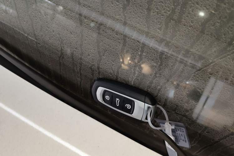 Used  Panda 2024 Panda Mini 200km Endurance Bear
