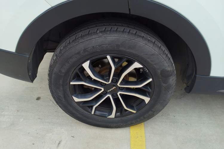 Used Haval H6 2021 National Trend Edition 1.5T Automatic Urban Version
