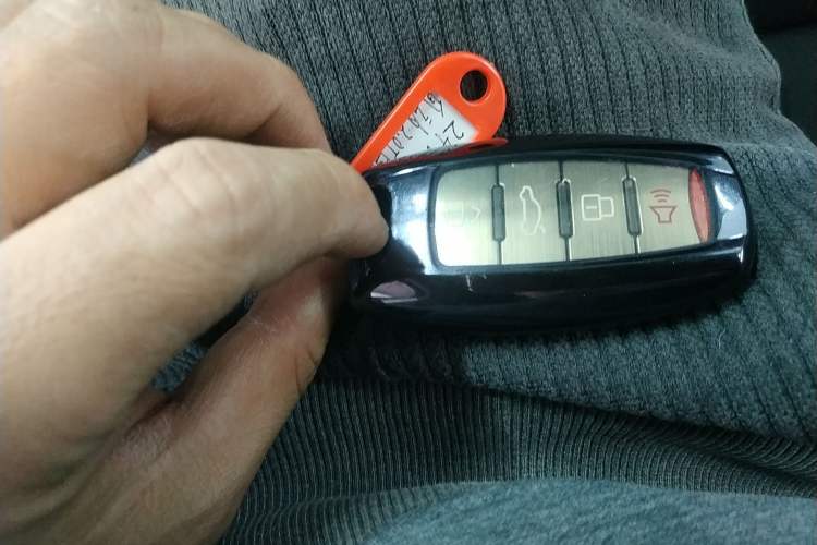 Used Haval DARGO 2024 2.0T DCT Chinese Rural Dog Edition
