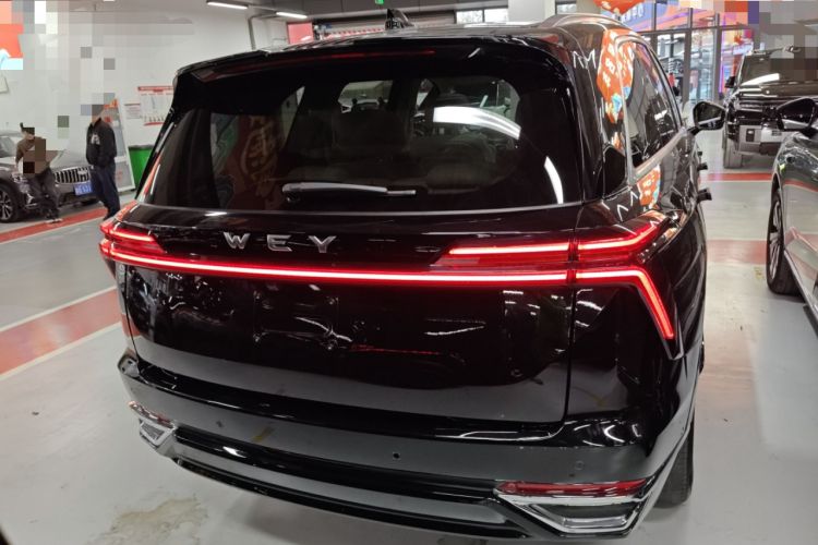 Used Wey Lanshan 2023 Four-Wheel Drive Ultra-Long Range Version