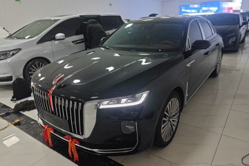Used Hongqi H9 2020 2.0T Smart Connect Flagship Edition