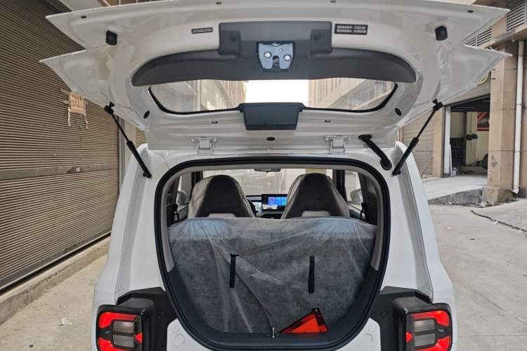 Used  Panda 2024 Panda Mini 200km Endurance Bear
