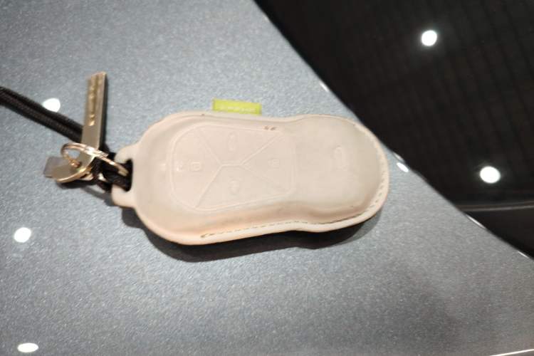 Used XPeng G9 2024 650 Max
