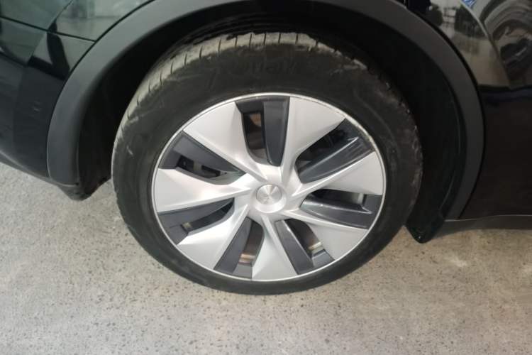 Used Tesla Model Y 2021 Standard Range Rear-Wheel Drive Version
