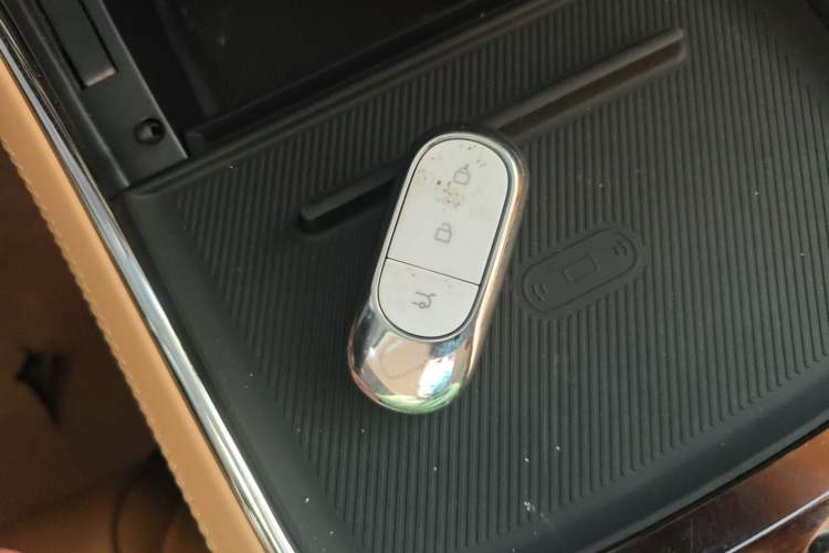 Used Leapmotor C11 2024 Range-Extended 300 Luxury Edition
