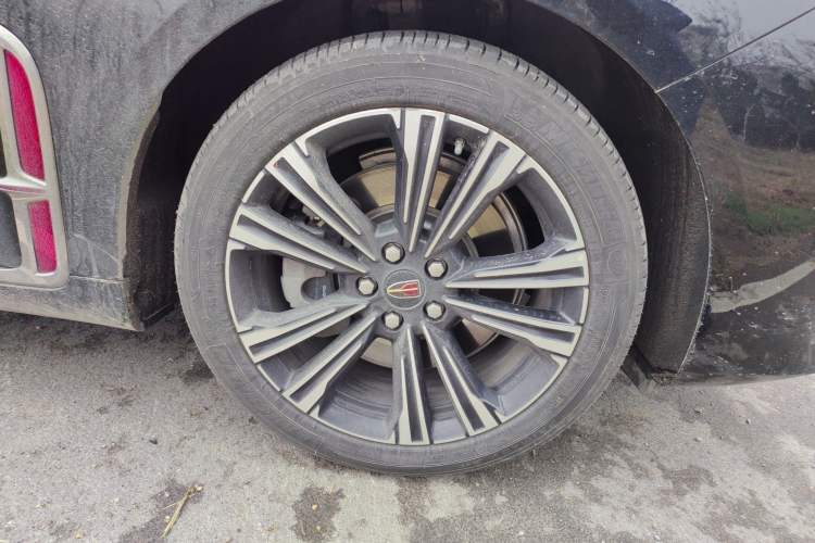 Used Hongqi H9 2024 2.0T Qixiang Private Style Edition
