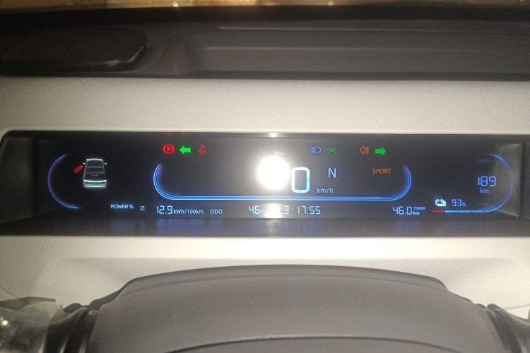 Used  Panda 2025 210 km – Yuanqi Bear
