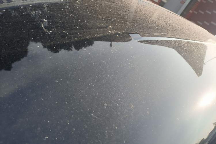 Used FORTHING Lingzhi 2023 M5L 1.6L Base Model 7 Seats
