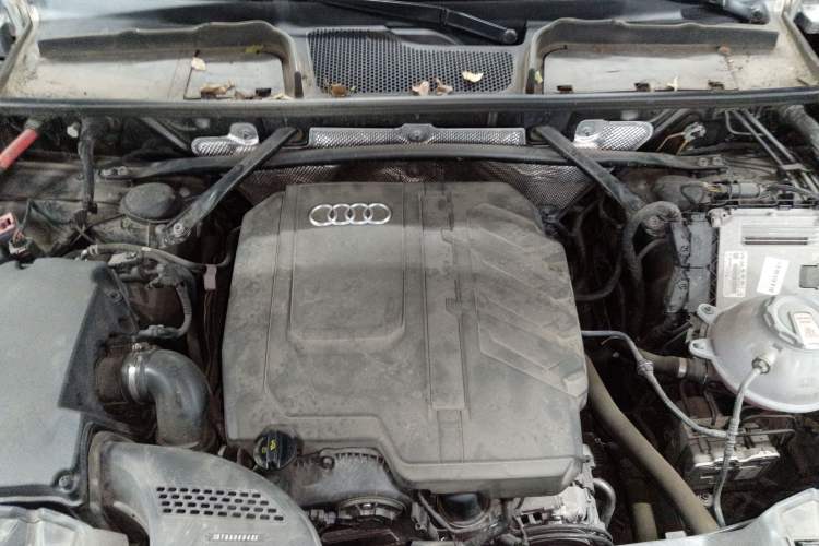 Used Audi Q5L 2023 40T Luxury Dynamic Model
