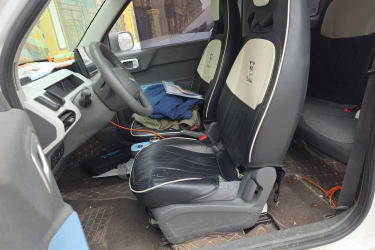 Used  Panda 2023 Panda Mini 200km Endurance Bear