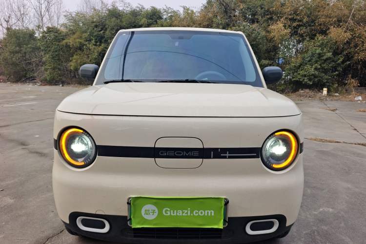 Used  Panda 2025 210 km – Yuanqi Bear