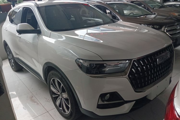 Used Haval H6 2023 National Trend Edition 1.5T Automatic Champion Version
