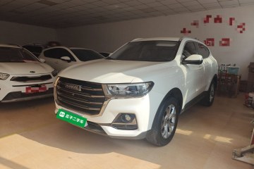 Used Haval H6 2021 National Trend Edition 1.5T Automatic Champion Version